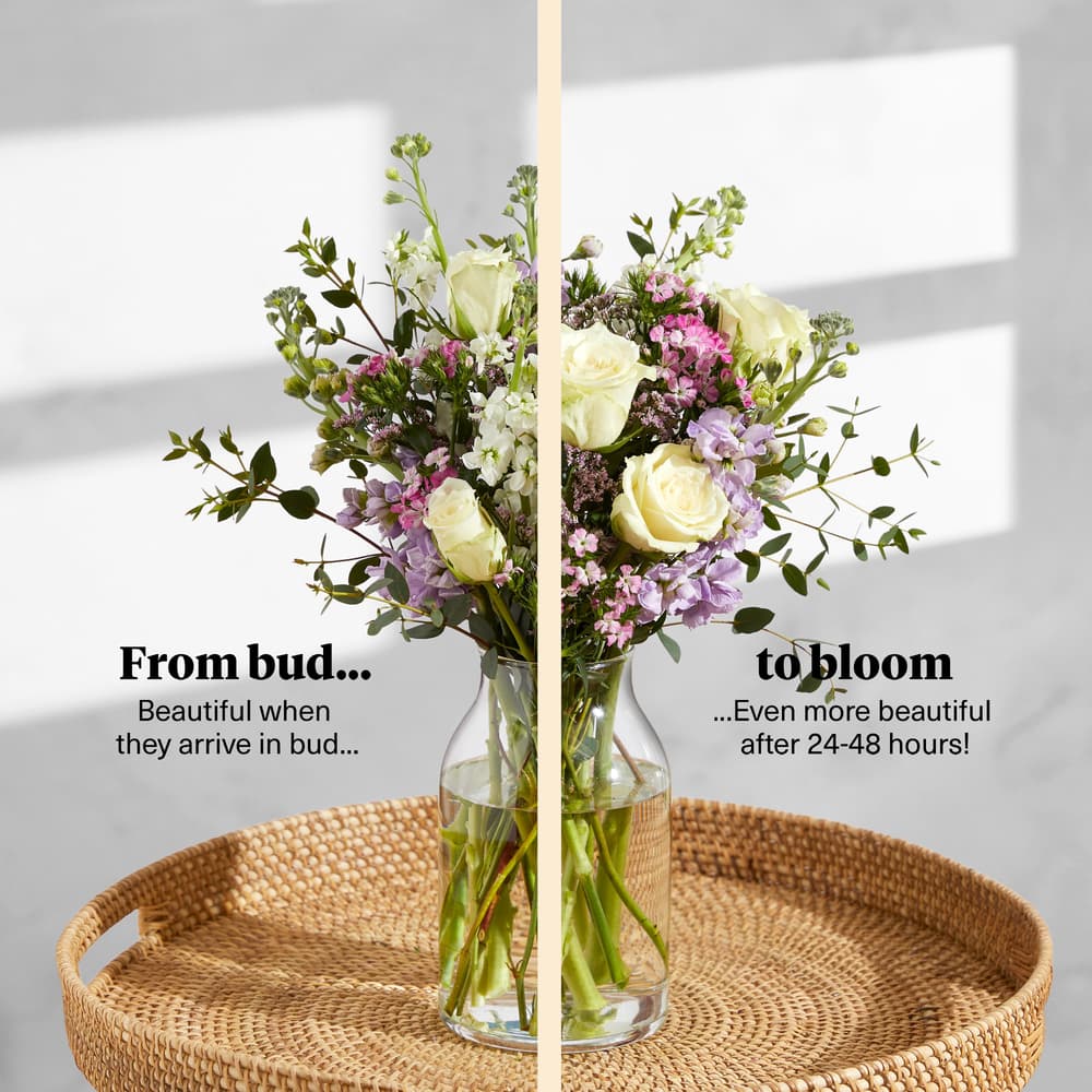 The Hallie | Letterbox Flowers | Bloom & Wild