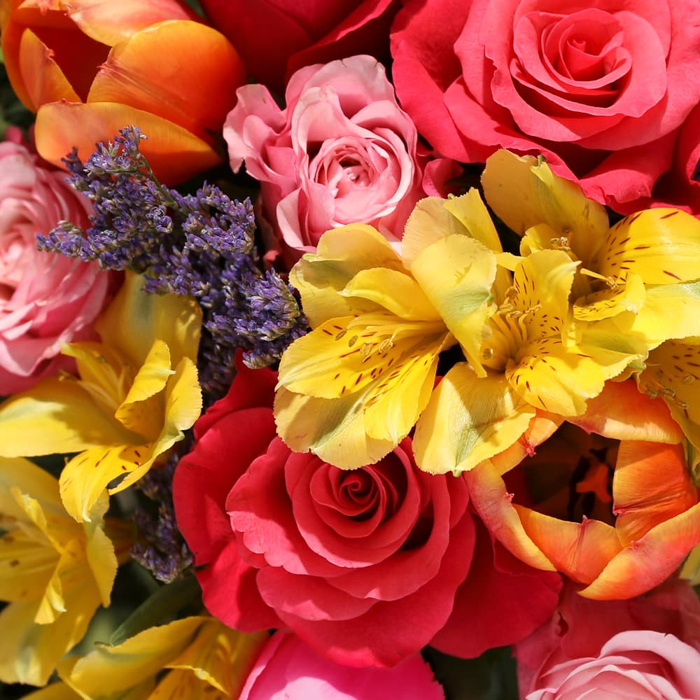 The Indulgent Tulip Bundle | Flowers & Gifts | Bloom & Wild