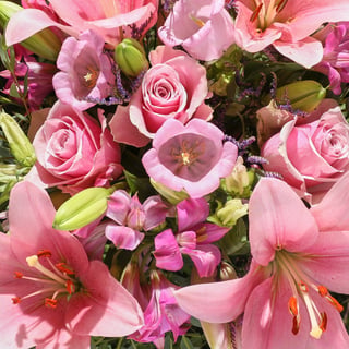 The Trina | Hand-tied flowers | Bloom & Wild