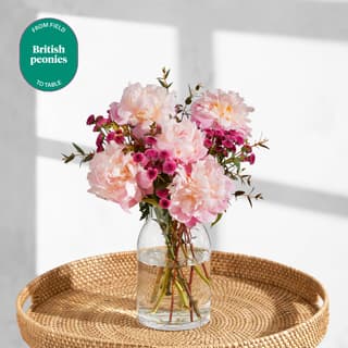 Letterbox Flowers
